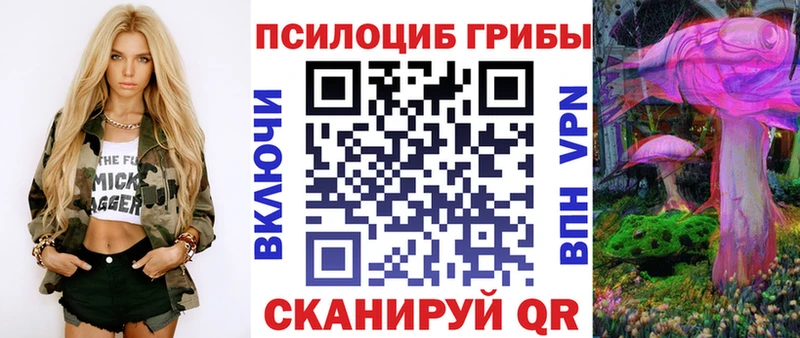 Купить  Владимир  Псилоцибиновые грибы прущие грибы 