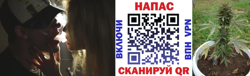 Купить закладки  Владимир  Шишки марихуана тримм 